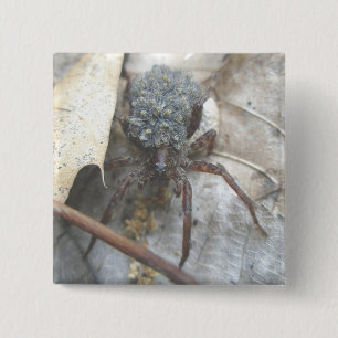 Wolf Spider Babies Hoesje Button
