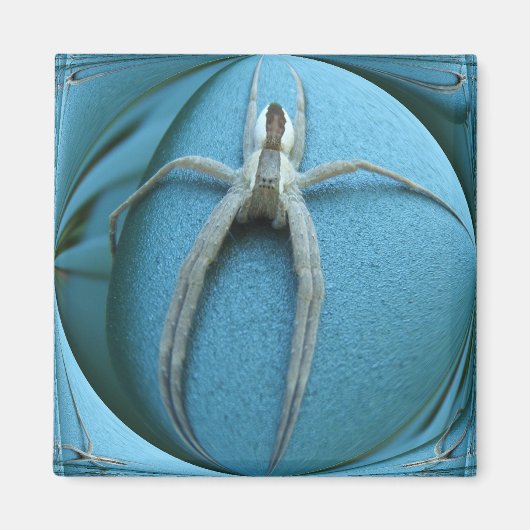 Wolf Spider ~ magneet (Voorkant)