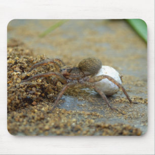 Wolf Spider met eierschaafmuis Muismat