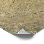 Wolf Spider Poster (Hoek)