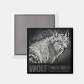 WOLF:Square Magnet Magneet (Voorkant / Achterkant)