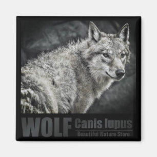 WOLF:Square Magnet Magneet