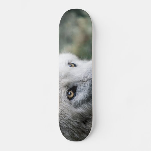 Wolf Stare Skateboard (Voorkant)