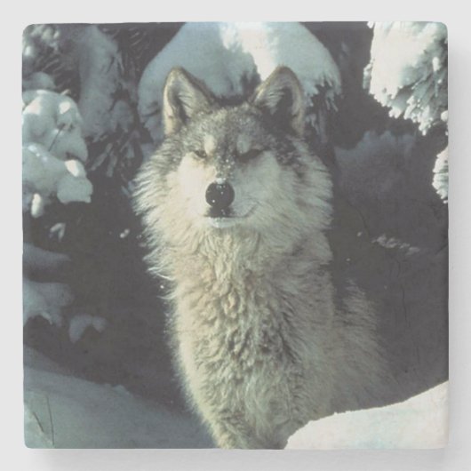 Wolf Stenen Onderzetter (Voorkant)