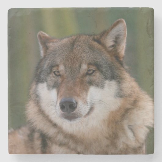 Wolf Stenen Onderzetter (Voorkant)