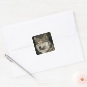 Wolf Sticker (Envelop)