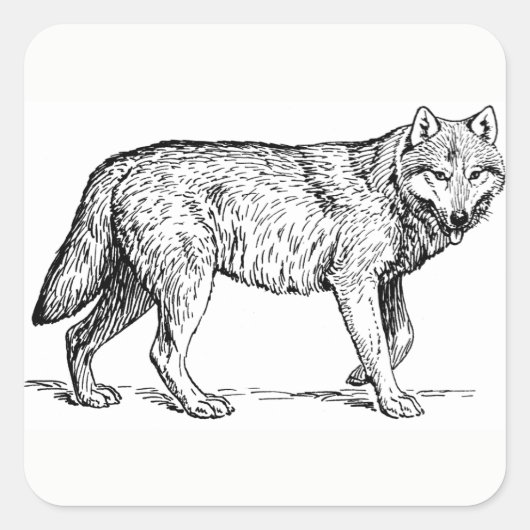 Wolf Stickers (Voorkant)