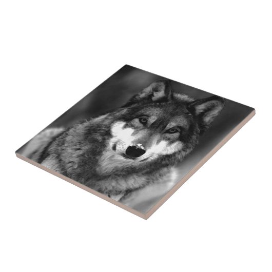 Wolf Tegeltje (Zijkant)