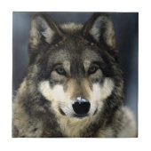 Wolf Tegeltje (Voorkant)