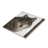 Wolf Tegeltje (Zijkant)
