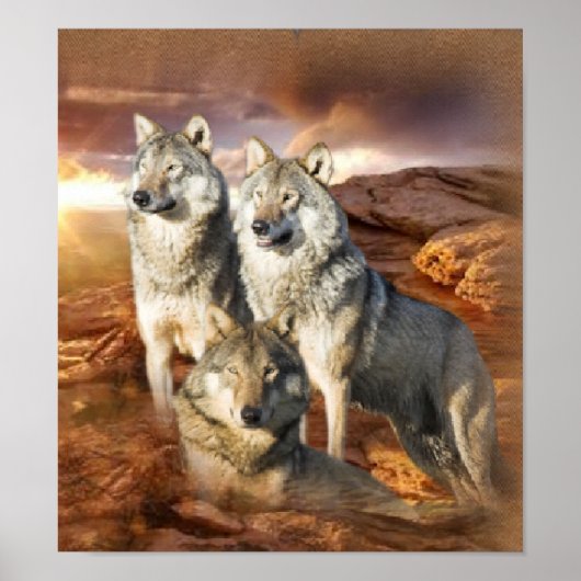 Wolf Trio poster (Voorkant)