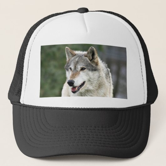 Wolf Trucker Pet (Voorkant)