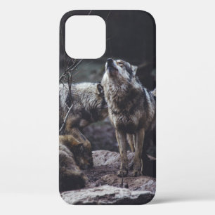 WOLF VERPAKKING OP ROCK FORMATIE iPhone 12 HOESJE