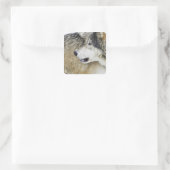 Wolf Vierkante Sticker (Tas)