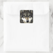 Wolf Vierkante Sticker (Tas)