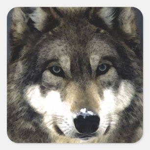 Wolf Vierkante Sticker