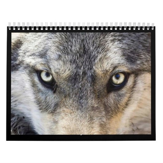 Wolf Wall Agenda Kalender (Hoes)