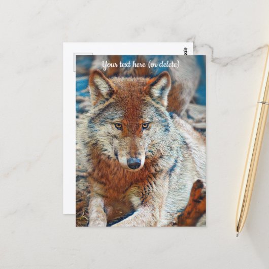 Wolf Wenskaart Briefkaart (Voorkant / Achterkant in situ)
