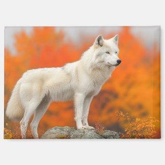 Wolf Wild Animal Loving Portrait Magneet
