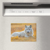 Wolf Wild Animal Loving Portrait Magneet (Insitu (Vaatwasser))