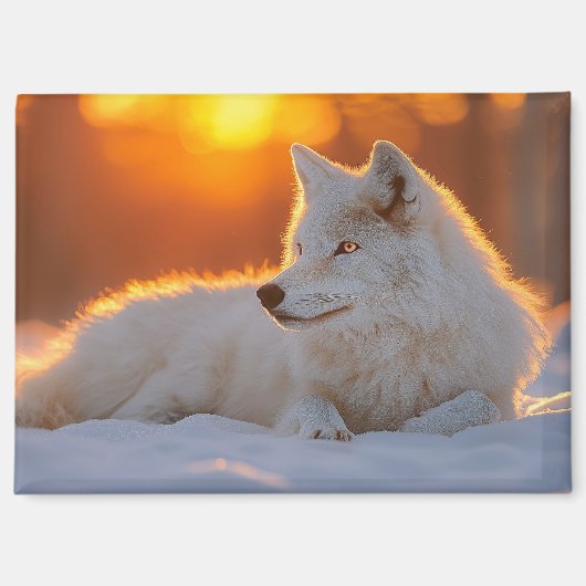 Wolf Wild Animal Loving Portrait Magneet (Voorkant)