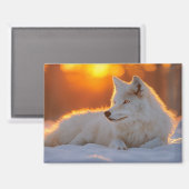 Wolf Wild Animal Loving Portrait Magneet (Voorkant / Achterkant)