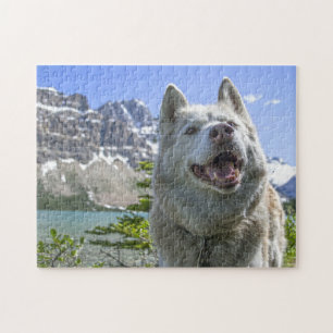 Wolf Wild Life Canada. Legpuzzel