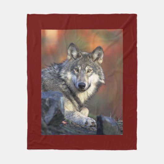 Wolf Wisdom Fleece Deken (Voorkant)