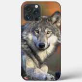 Wolf Wisdom iPhone / iPad hoesje (Achterkant)