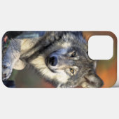 Wolf Wisdom iPhone / iPad hoesje (Achterkant (horizontaal))