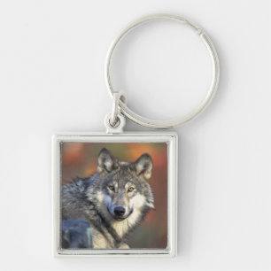 Wolf Wisdom Sleutelhanger