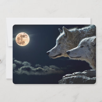 Wolf Wolven Howling bij de Volledige maan bij nach