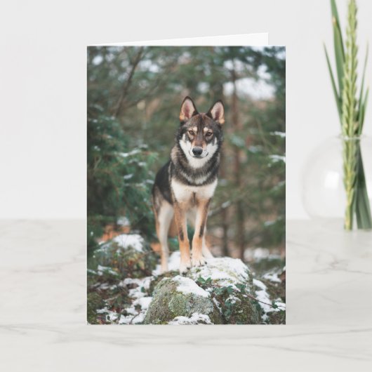 Wolfdog Bedankkaart (Voorkant)