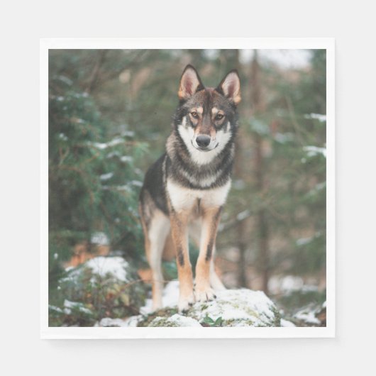 Wolfdog Servet (Voorkant)
