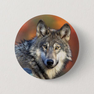 Wolffoto Ronde Button 5,7 Cm