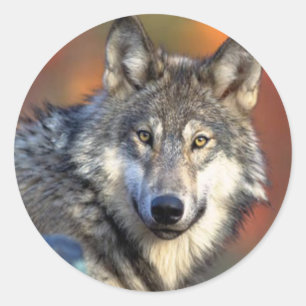 Wolffoto Ronde Sticker