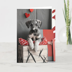 Wolfhound Puppy Valentijn Kaart