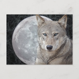 Wolfmaanansichtkaart Briefkaart