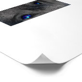 Wolfsaugen Poster (Hoek)