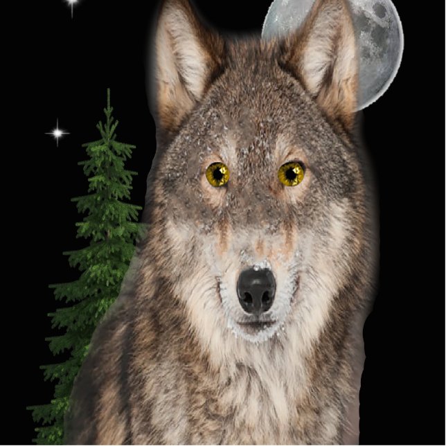wolfskunst fotobeeldje sleutelhanger (Voorkant)
