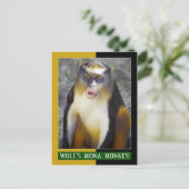 Wolfsmona (Guenon) Briefkaart (Staand voorkant)