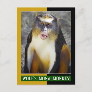 Wolfsmona (Guenon) Briefkaart