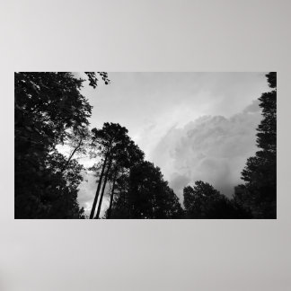 Wolken & Bomen, Poster