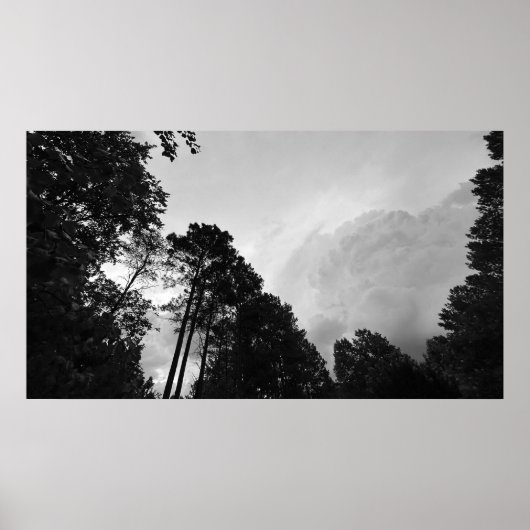Wolken & Bomen, Poster (Voorkant)