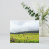 Wolken die afnemen op Briefkaart van grasland (Staand voorkant)