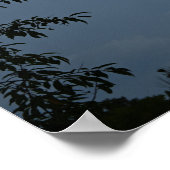 Wolken en Bomen Poster (Hoek)