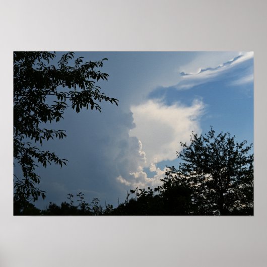 Wolken en Bomen Poster (Voorkant)