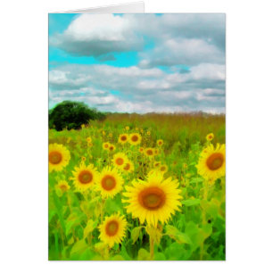 Wolken van vandaag, zonnebloempaart, fotografie va