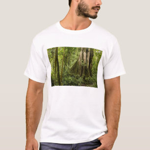 Wolkenwoud, Bosque de Paz, Costa Rica T-shirt