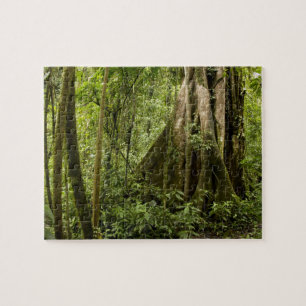 Wolkenwoud, Peace Rain Forest, Costa Rica Legpuzzel